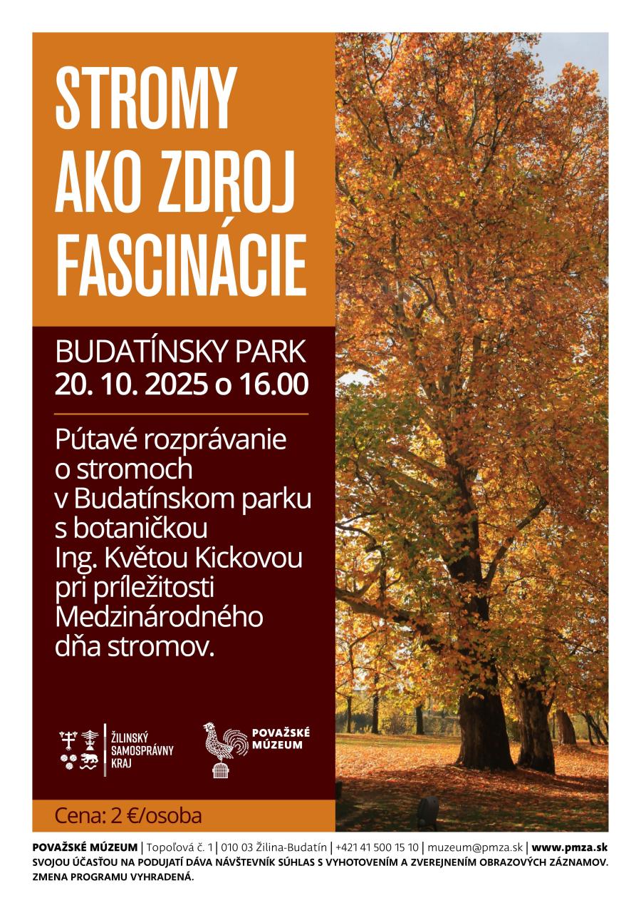 Fascinácia stromami Stromy_fascinacia_K1.jpg