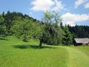 Skanzen Vychylovka, Historická lesná úvraťová žele