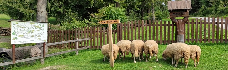 Skanzen Vychylovka - smer prehliadky :)