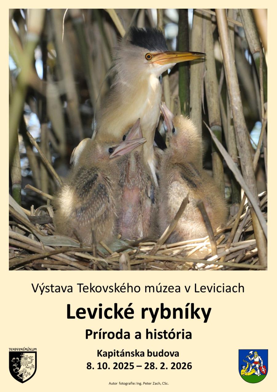 Plagát jpg.jpg Plagát jpg.jpg