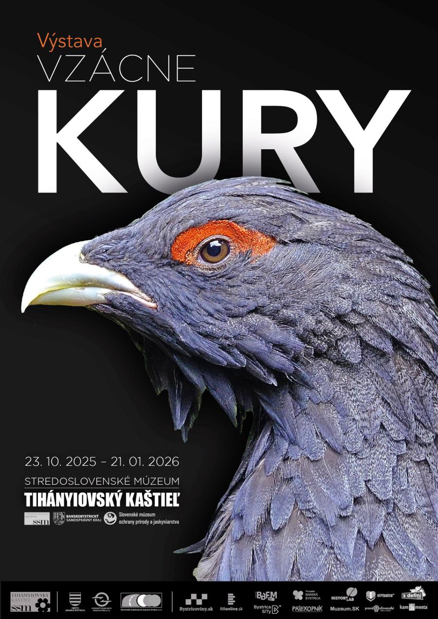 WEB_Vzacne Kury.jpg WEB_Vzacne Kury.jpg